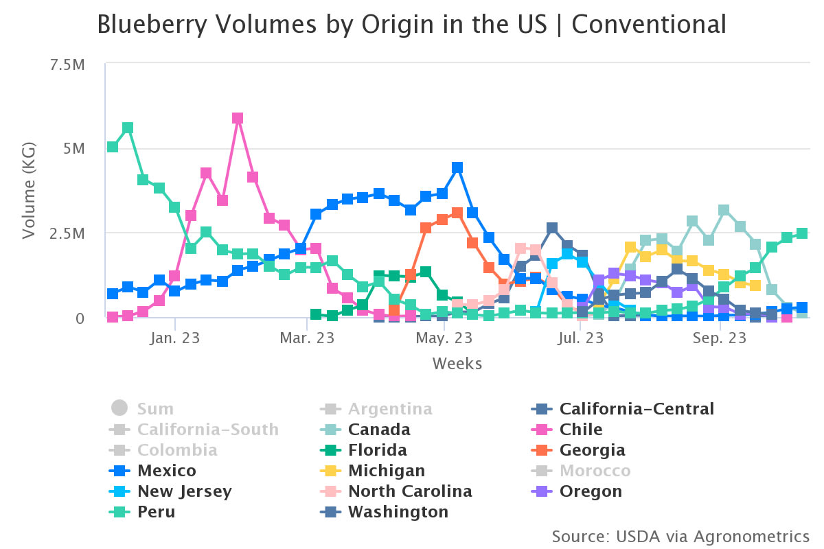 blueberry volumes by ori 16